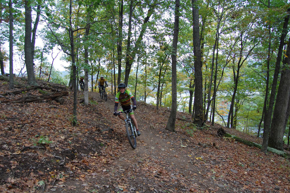 a person biking thru woods