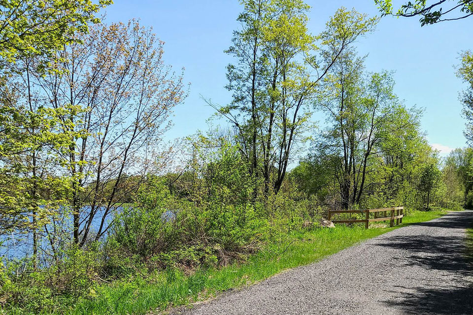 trail path next to river