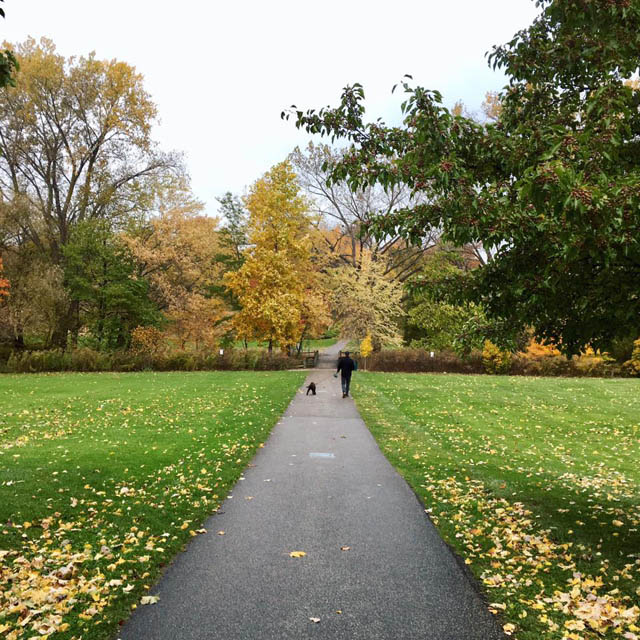 a person walking a dog in park