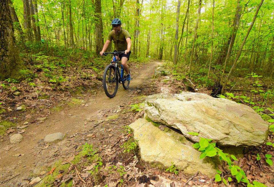A person mountain biking