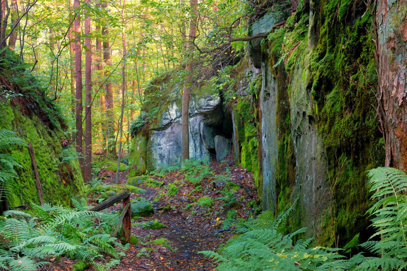 hiking Trail path