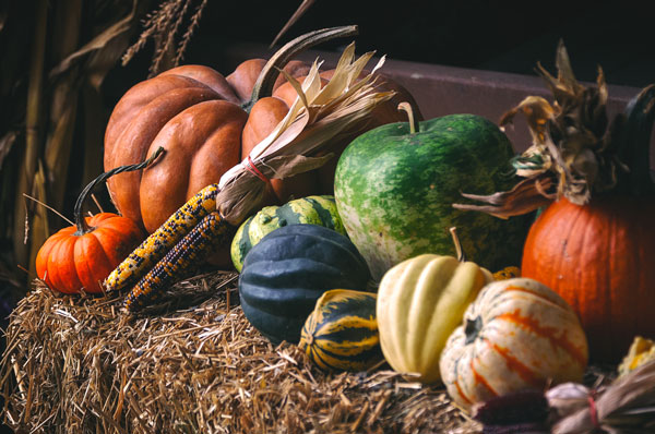 pumpkins and corn placed on top of a HaystACK