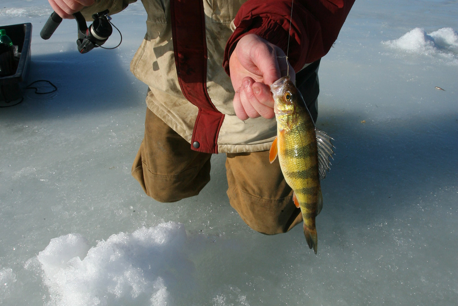 Hooked on Ice Fishing in Pennsylvania