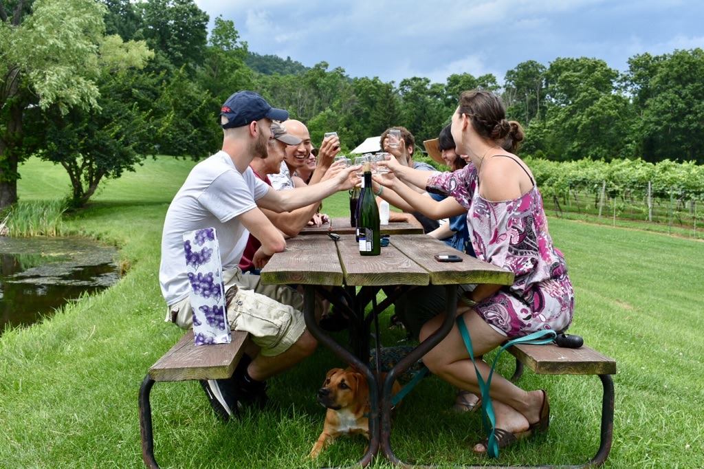 A group of friends enjoying wine at a picnic table outside at Mt. Nittany Vineyard and Winery in Pennsylvania