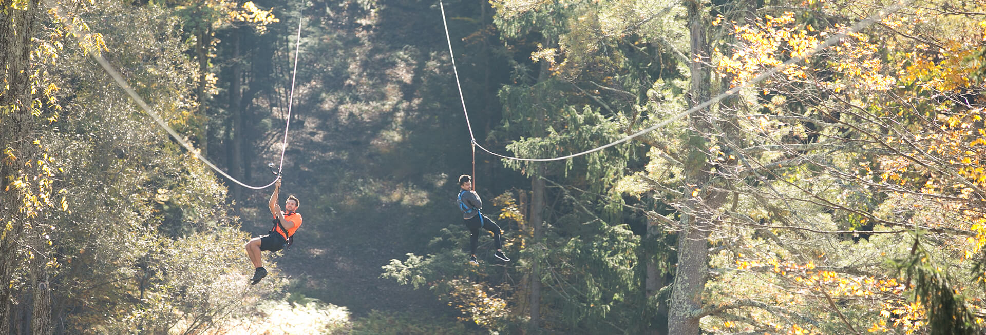 Pocono Zip Racer | visitPA