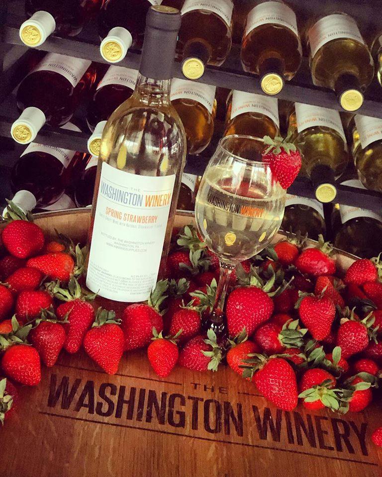 washington winery bottles and glass, strawberries