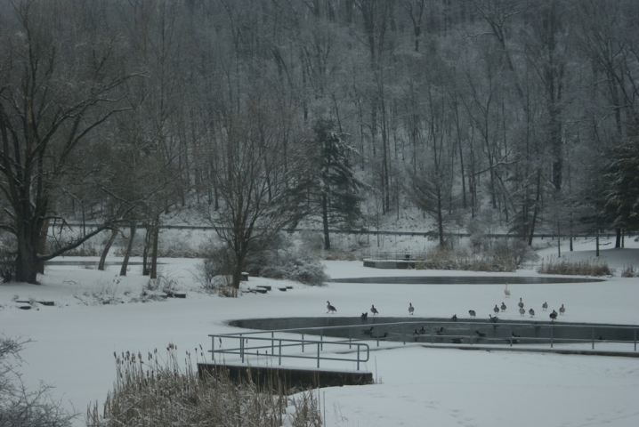 Duman Lake County Park_winter
