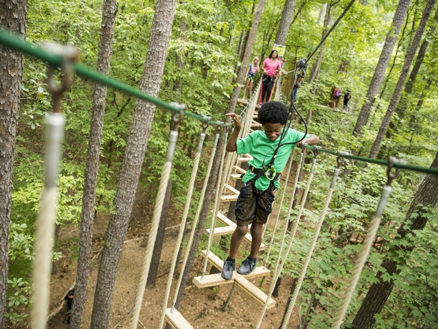 Go Ape Treetop Adventure Visitpa