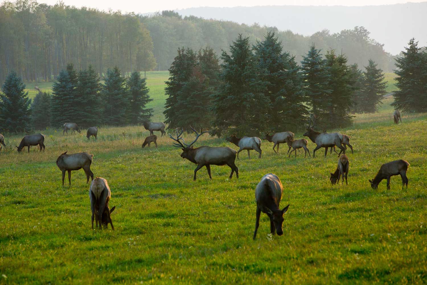 Elk County Visitors Center  visitPA