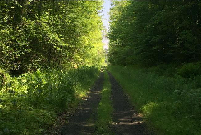 D and H Trail path
