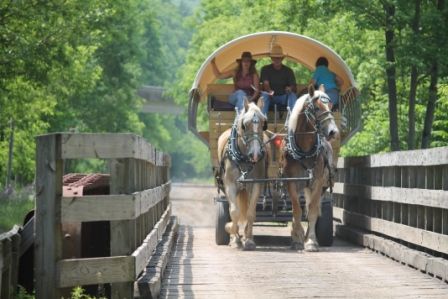 Horse riding tours on Pine Creek Rail Trail