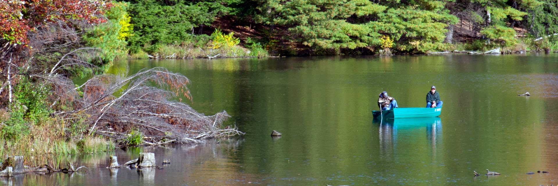 Hills Creek State Park | visitPA