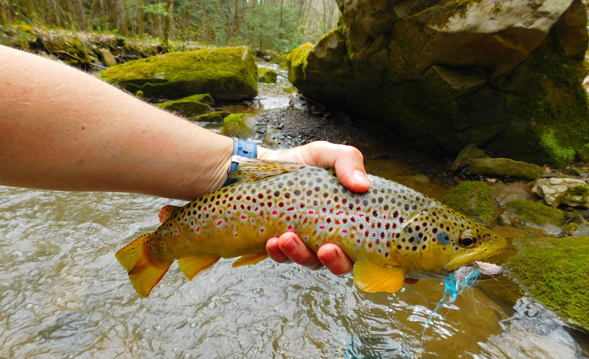 Trout Fishing in The Poconos