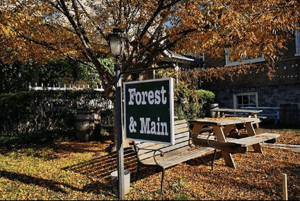 Forest and Main Brewing Company