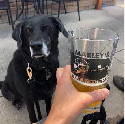 Marley's Brewery & Grille