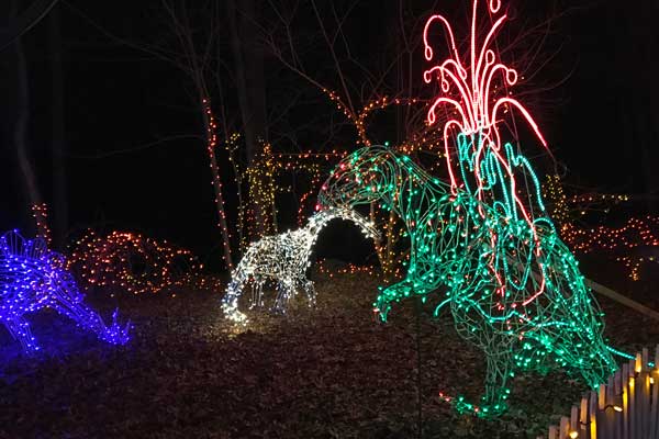 christmas Magic lights