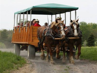 horse drawn wagon ride