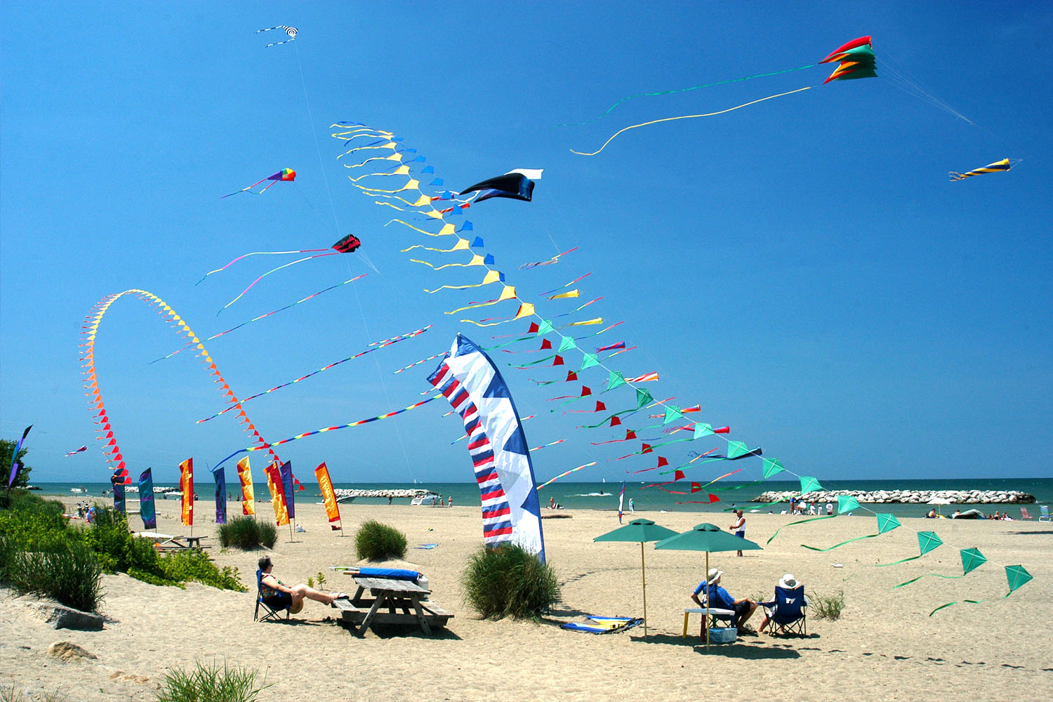 flying kites on beach
