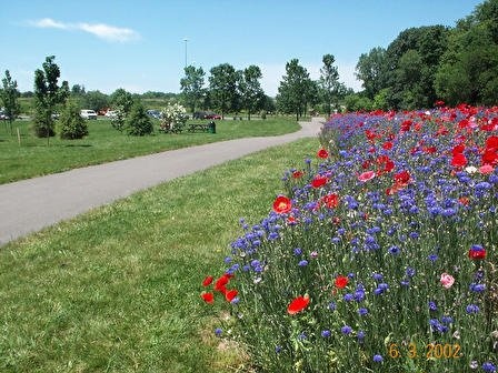 colorful flowers on Perkiomen Trail