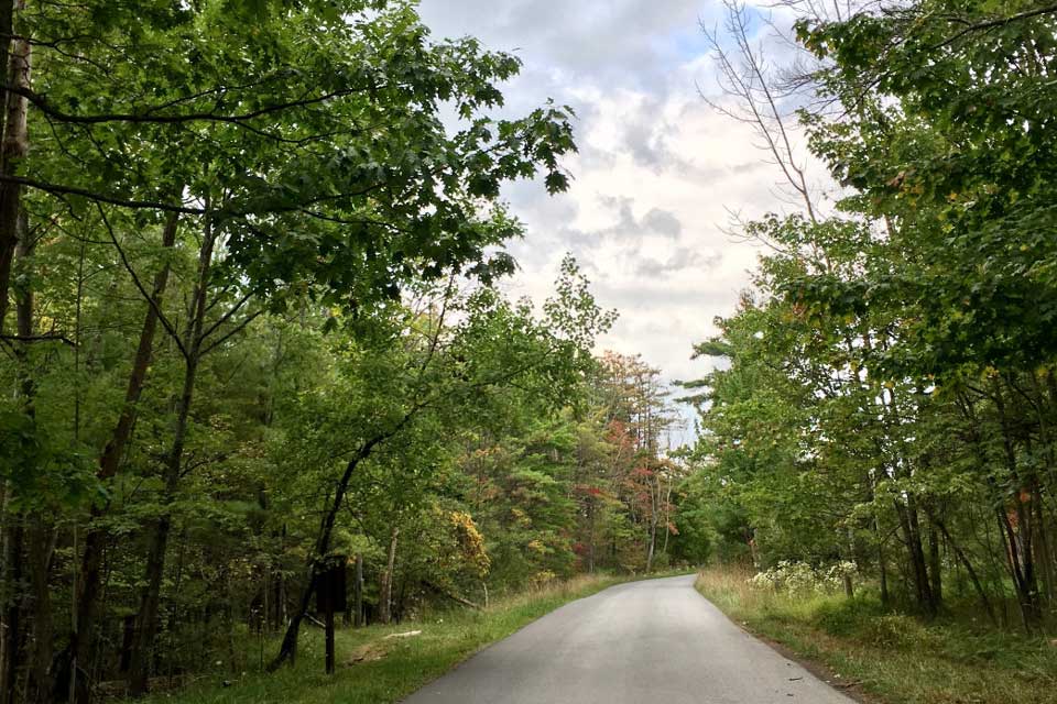 paved trail path rothrock state forest