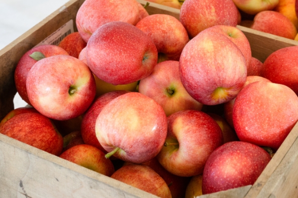 basket of apples