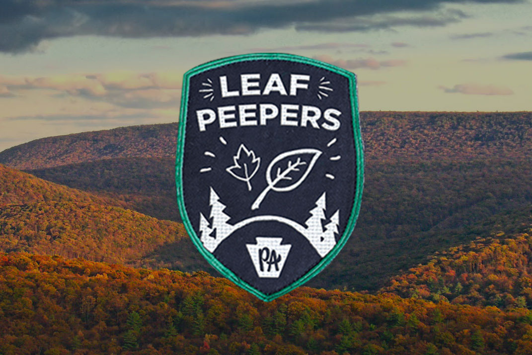 Leaf Peepers Festival Davis Wv 2024 Lacey Minnnie