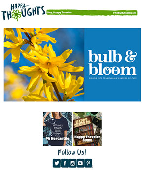 bulb and bloom Newsletter thumbnail