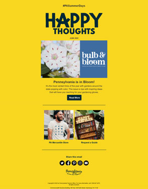 bulb and bloom Newsletter thumbnail