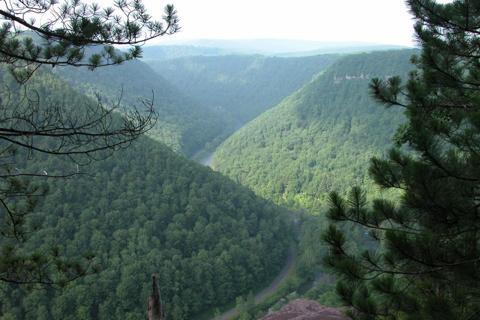 view of the Pennsylvania Grand Canyon