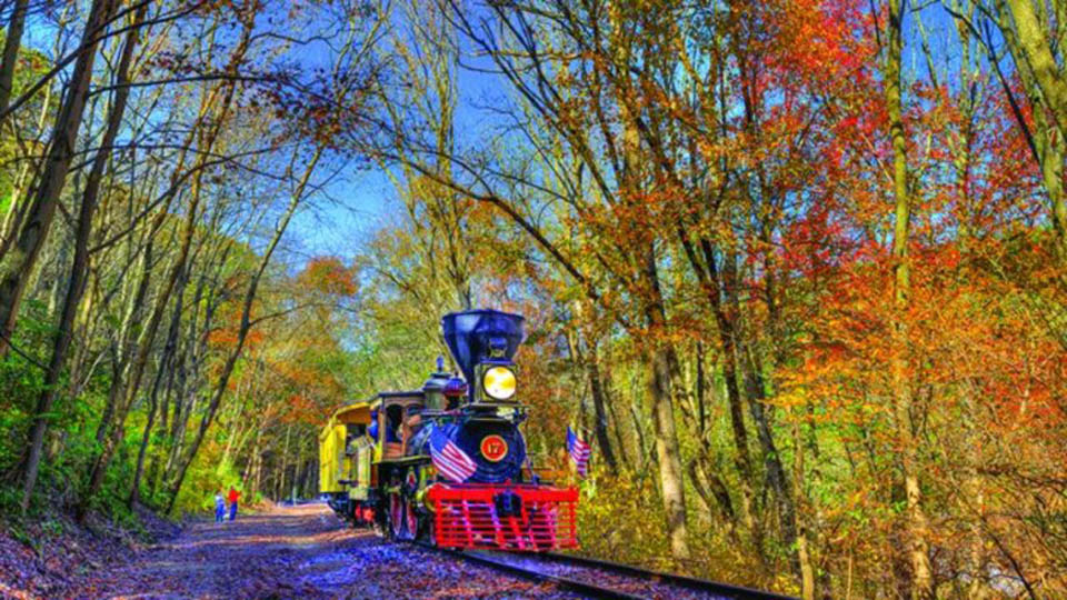 Steam engine rail riding thru fall foliage