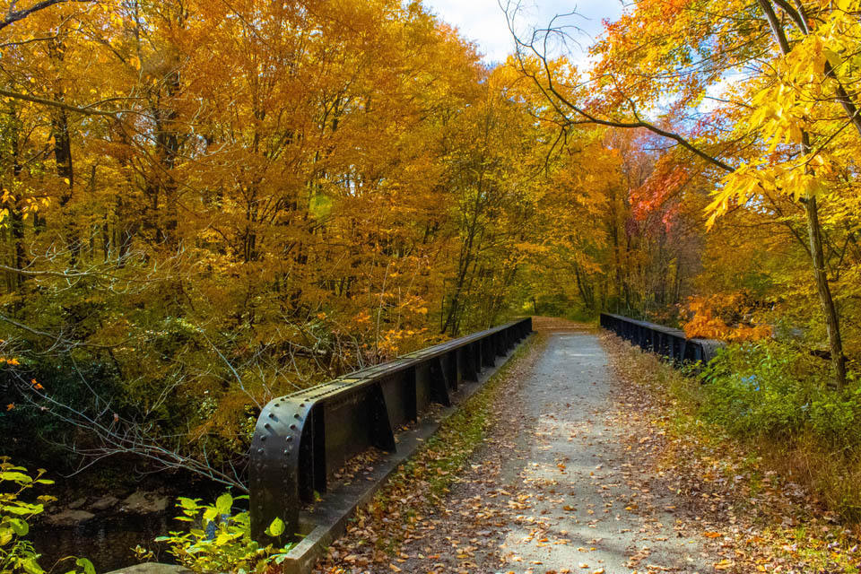 A metal bridge road in the forest with fall foliage