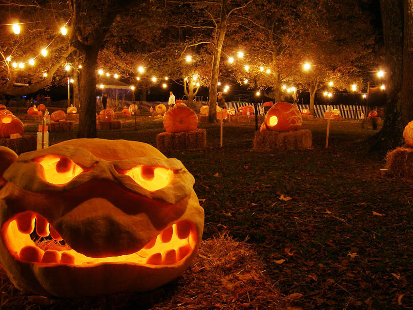 carved pumpkins lights up at nights