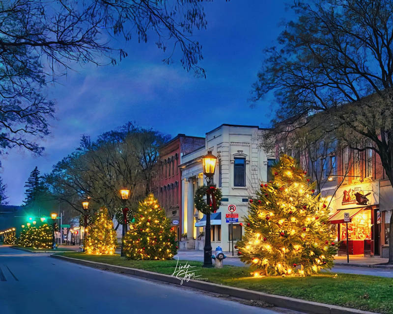 downtown main street with Christmas trees and lights