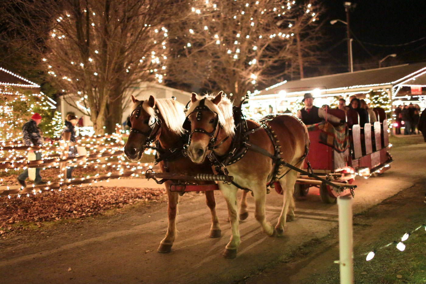 Horse Carriage ride thru holiday lights on main street