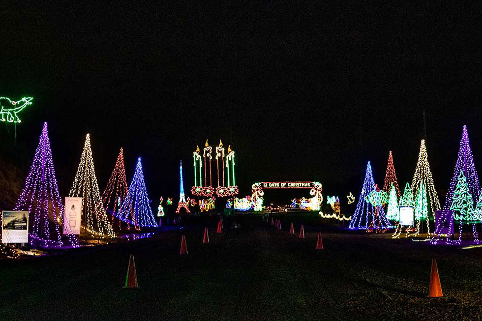 https://www.visitpa.com/sites/default/files/2023-11/shady-brook-farm-christmas-lights-2018-cropped.jpg