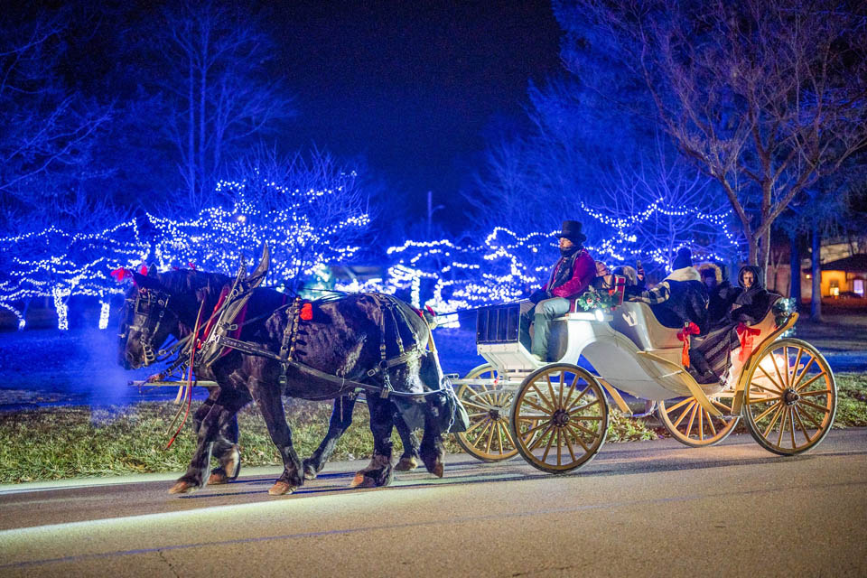 Horse Carriage ride thru main street holiday lights at night