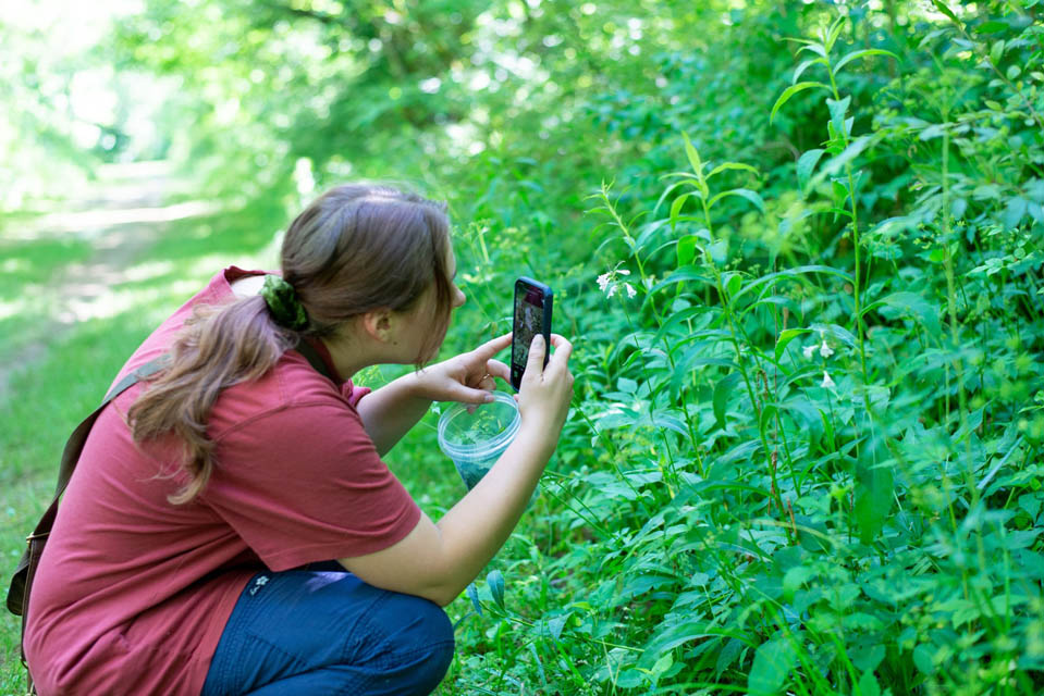 a person taking photo of a plant specie