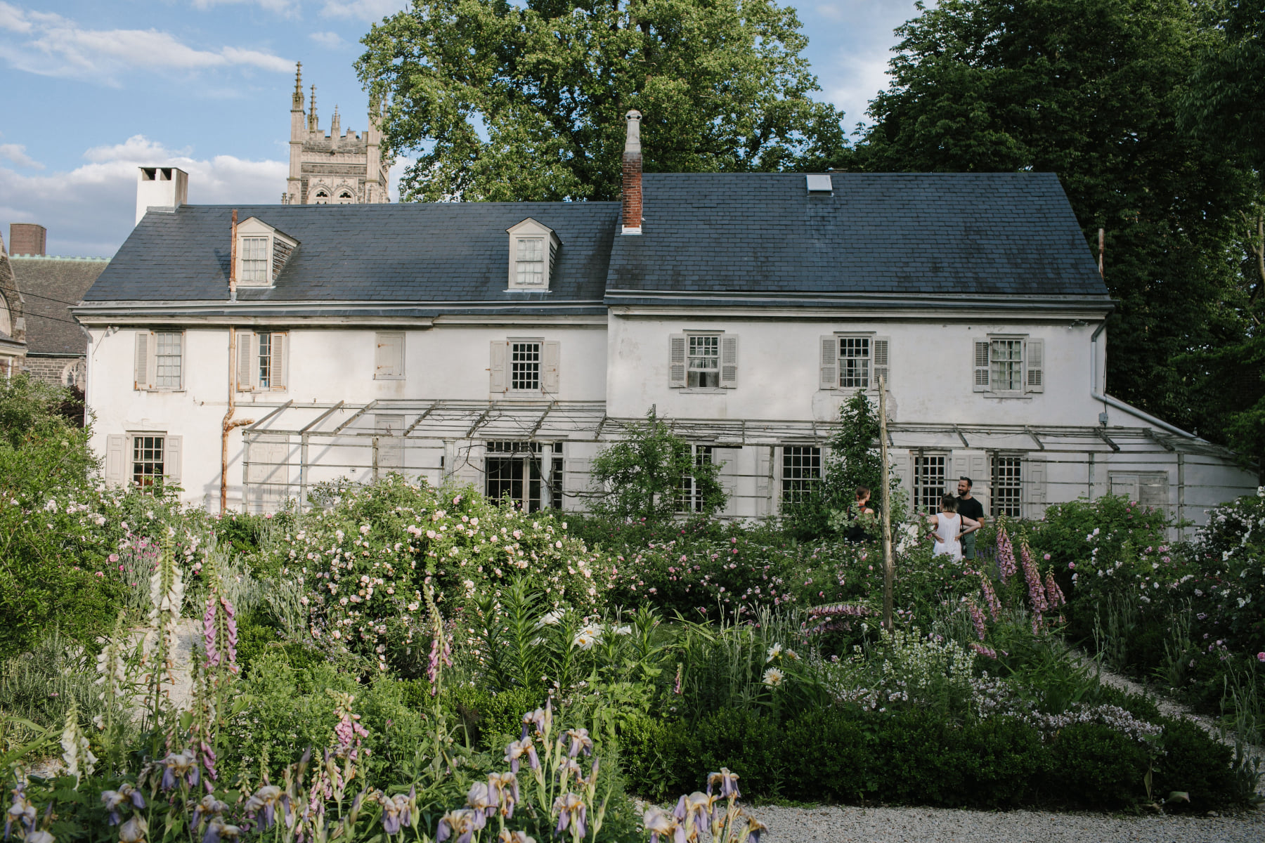 Garden behind house