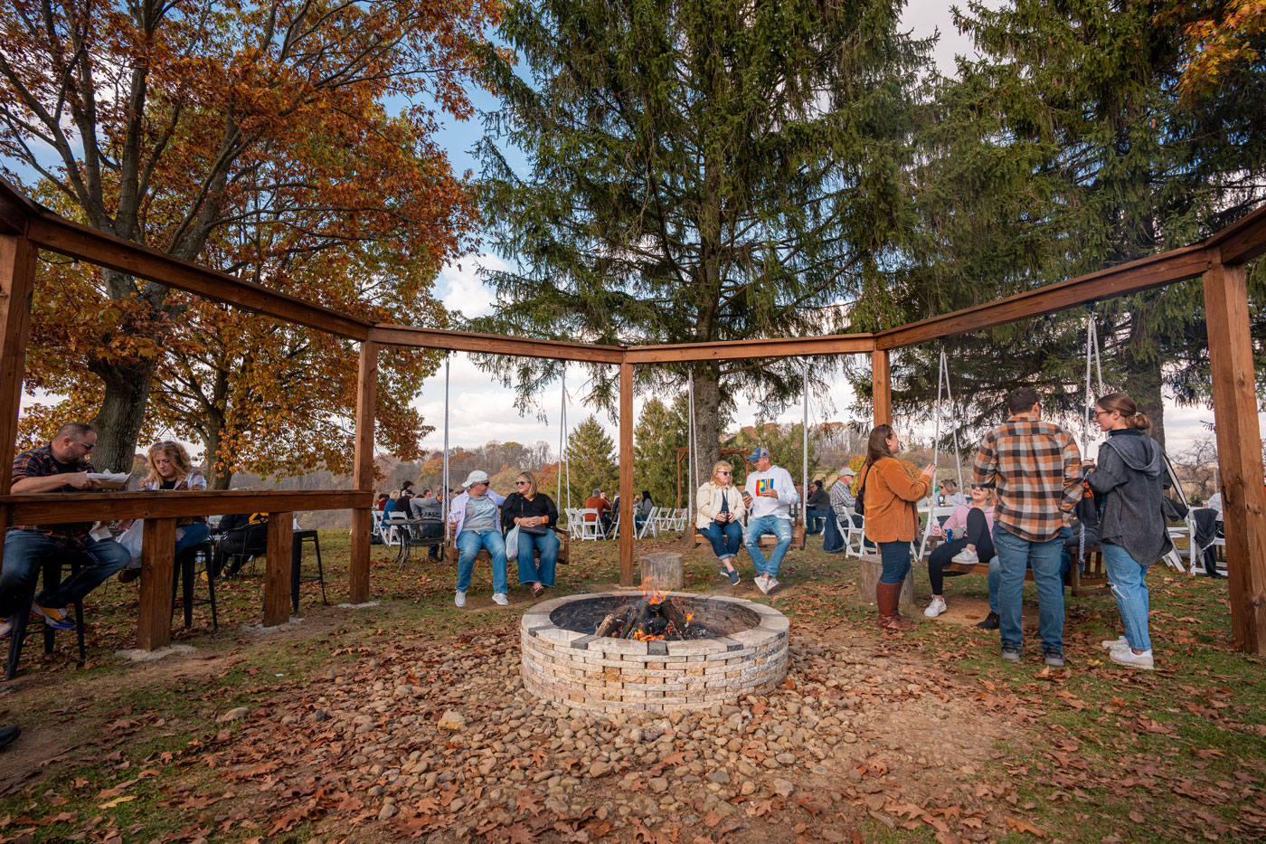 People enjoying around bonfire