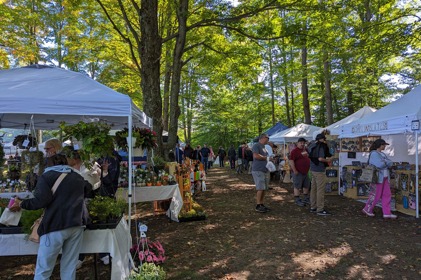 Kinzua Bridge Fall Festival