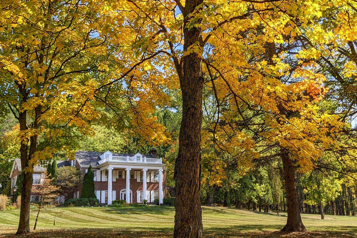 A house surrounded by trees