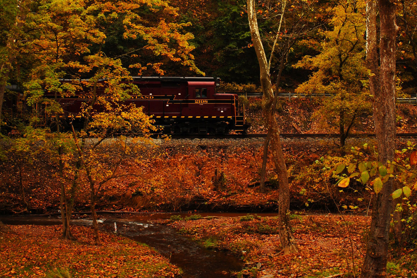 Fall foliage Train Ride at New Hope Railroad