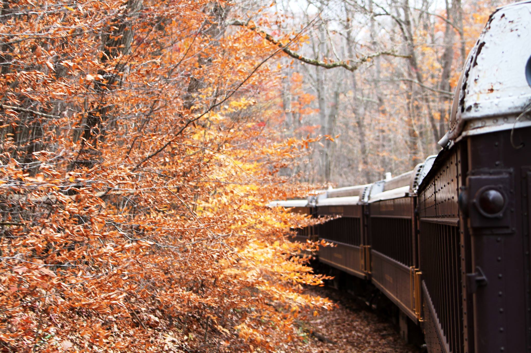 oil creek and titusville railroad