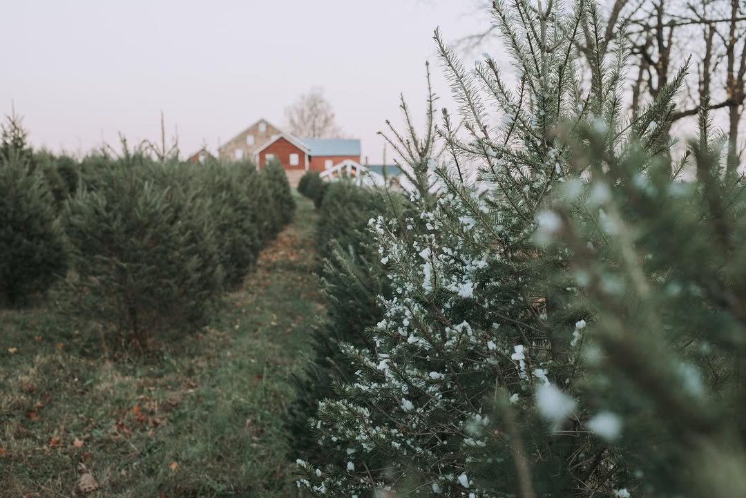 Elizabeth Farms