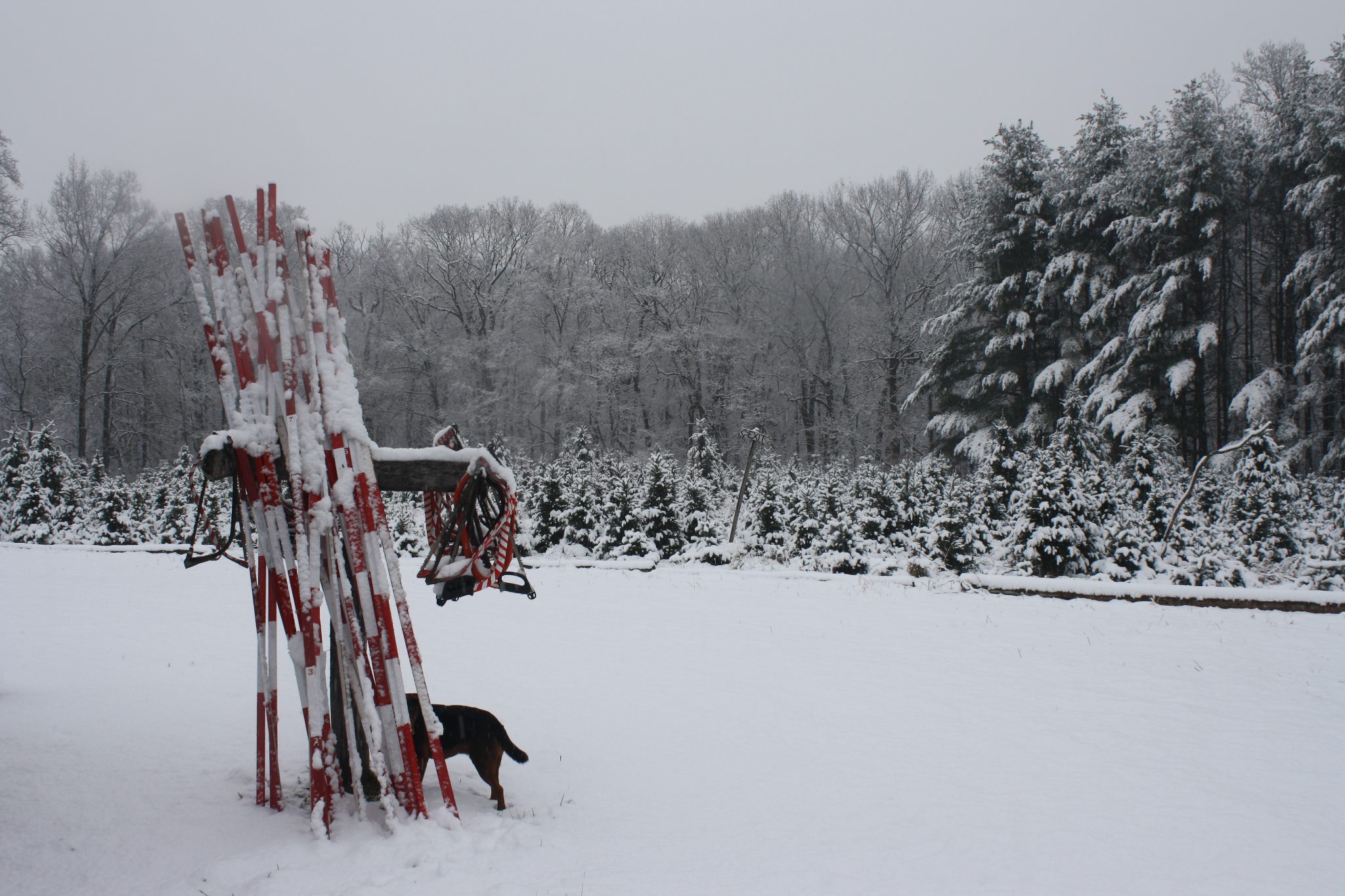 Tuckamony Farm covered in snow