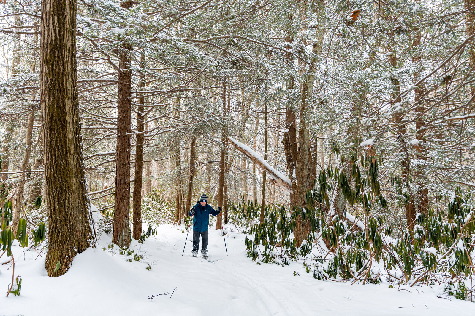 Cross country Skiing