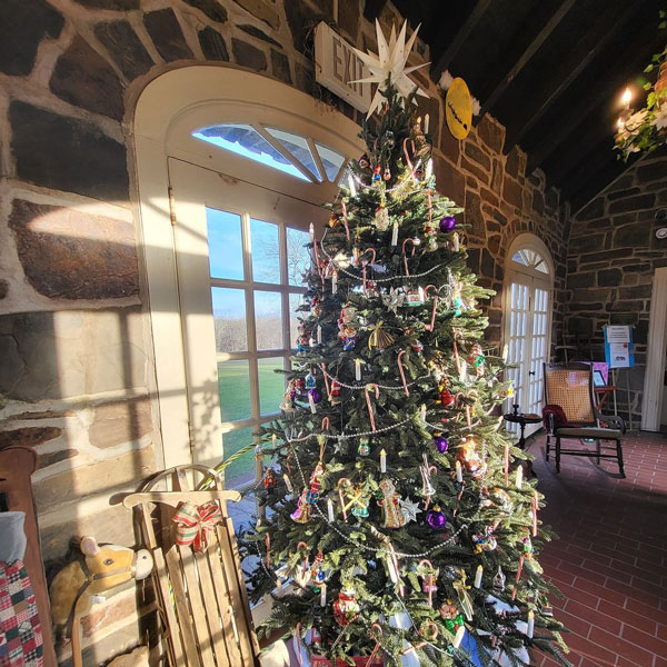 Christmas Tree decorated