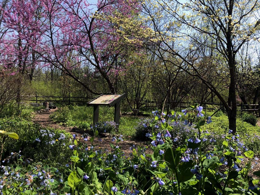 garden at Jacobsburg Environmental Education Center