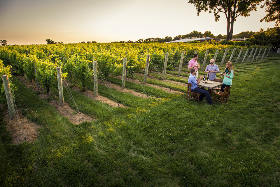 family enjoying wine by vineyard