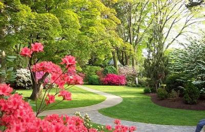 Trail path in the gardens